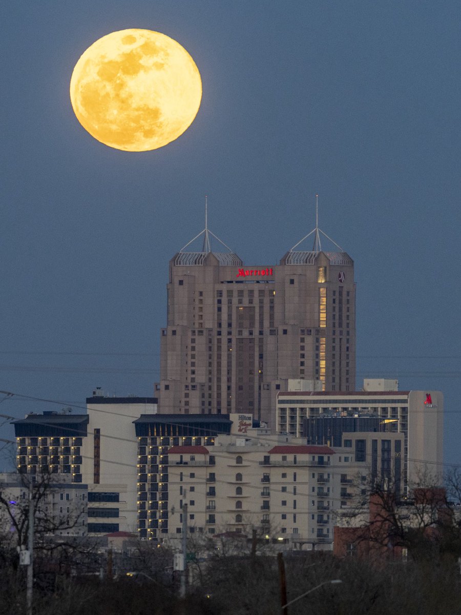 Andrew J. Whitaker tweet media