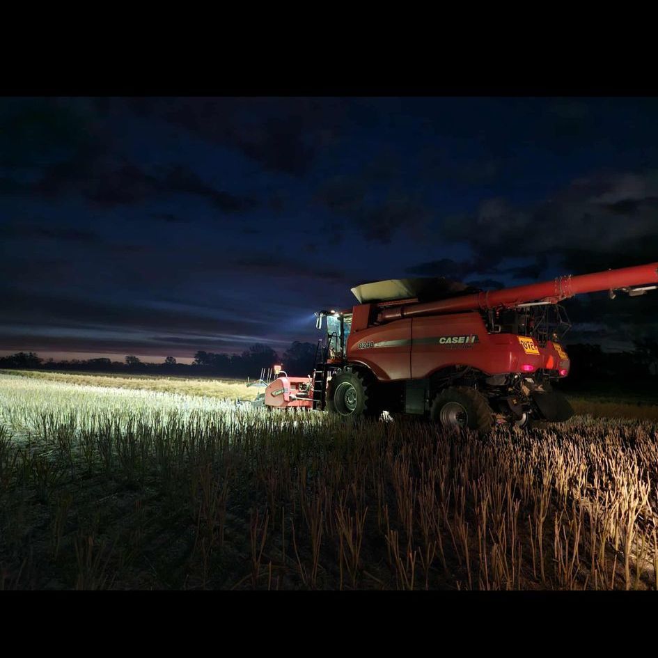 Primary Sales Aust. tweet media