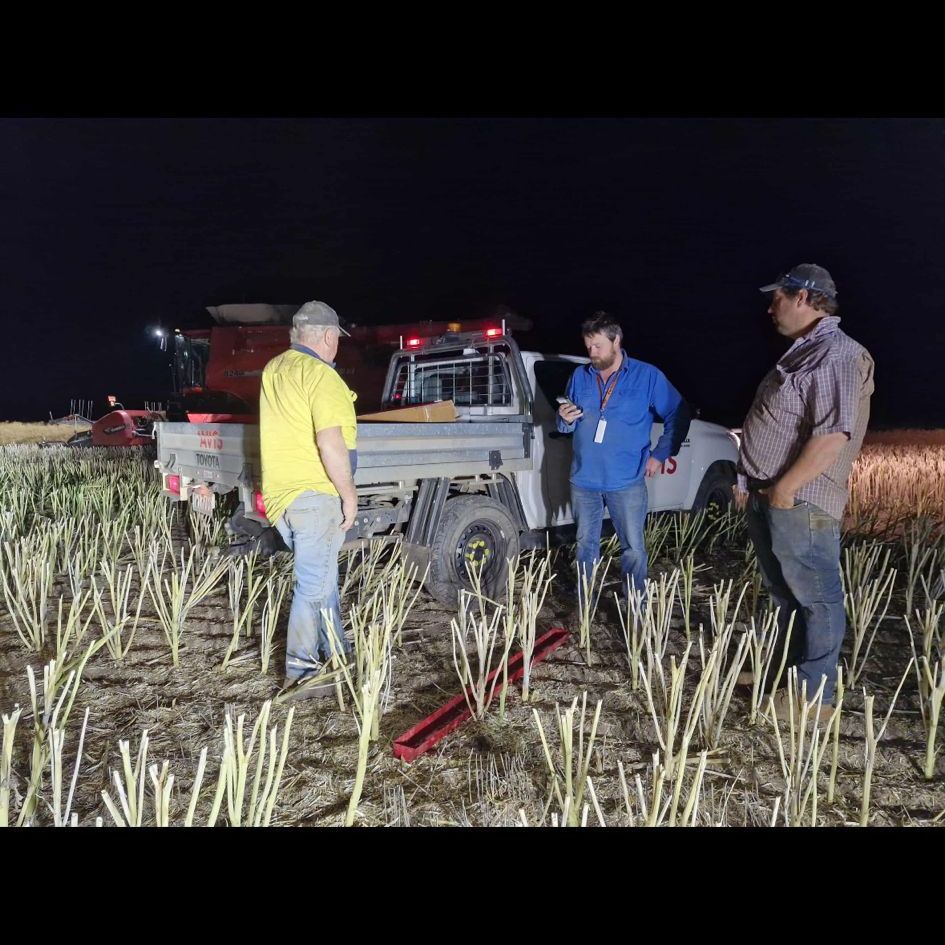 Primary Sales Aust. tweet media