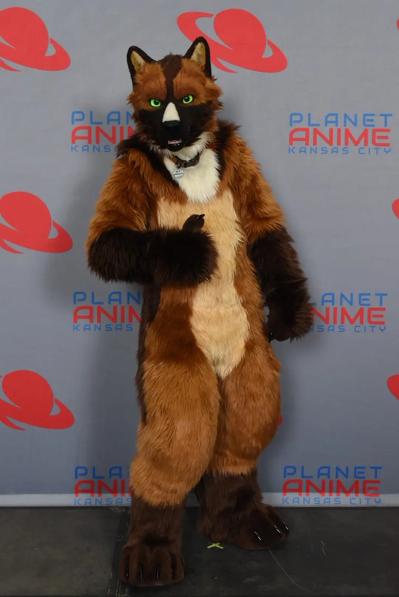 Fursuit Review tweet media