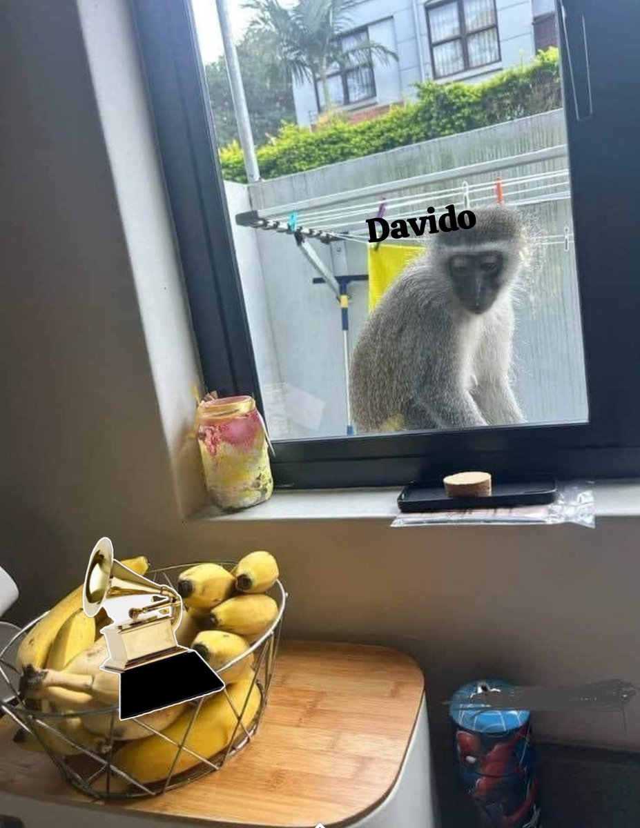 Champ✨ tweet media