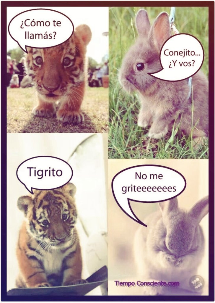 ArchelateVT's tweet image. 