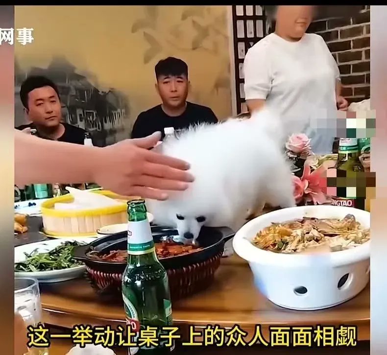 DZumot17618's tweet photo. 时隔三年的局终于凑齐！碰杯时笑出当年没心没肺的模样，原来最好的时光，是和你们的旧时光重逢 https://t.co/zW2SiONvWY
