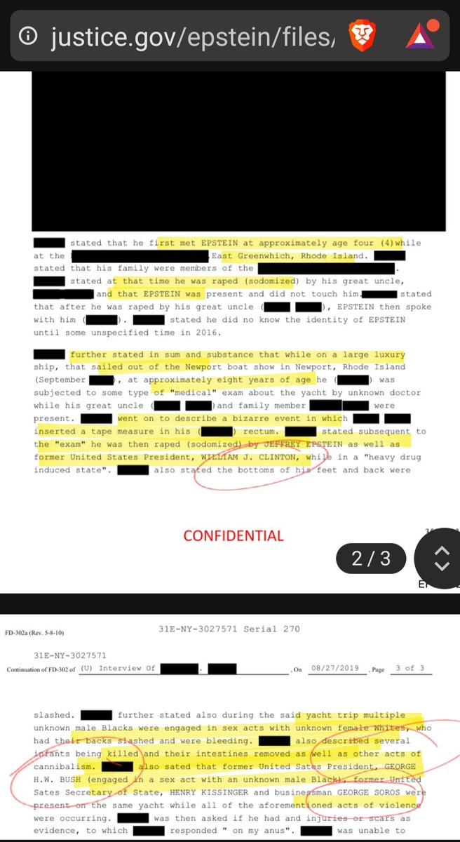 Donna Patriot Ancestor tweet media