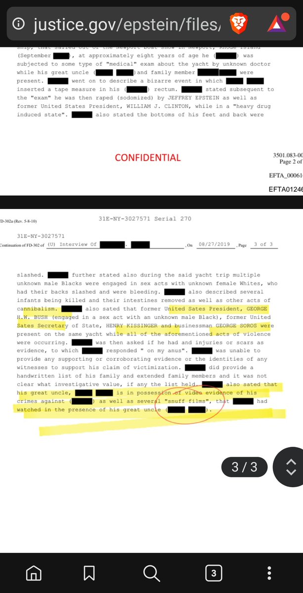 Donna Patriot Ancestor tweet media