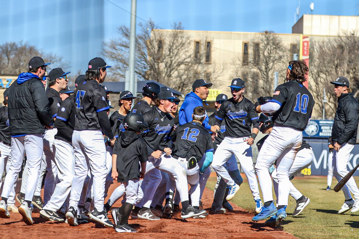 Amarillo College Baseball tweet media