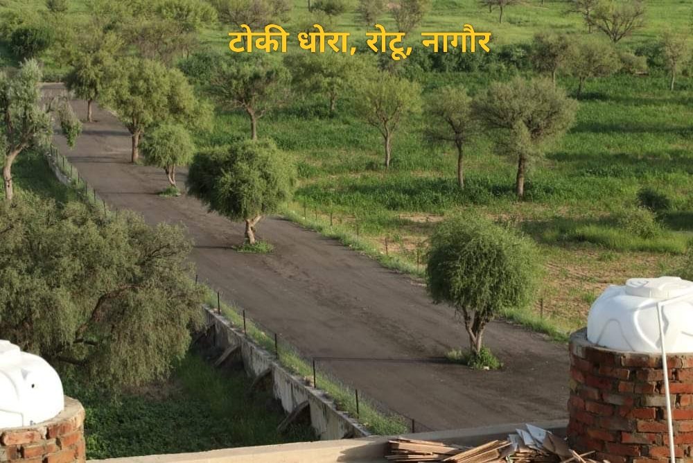पेड़ काटने वालों से ज्यादा, पेड़ बचाने वालों का इतिहास बड़ा होता है।

खेजड़ी सिर्फ एक पेड़ नहीं, हमारी संस्कृति और जीविका का प्रतीक है। आने वाली पीढ़ियों के लिए इस मरु-शोभा को बचाना हमारा धर्म है। आइए, इस मुहिम का हिस्सा बनें.... 🌳✊

#खेजड़ी_बचाओ_महापड़ाव