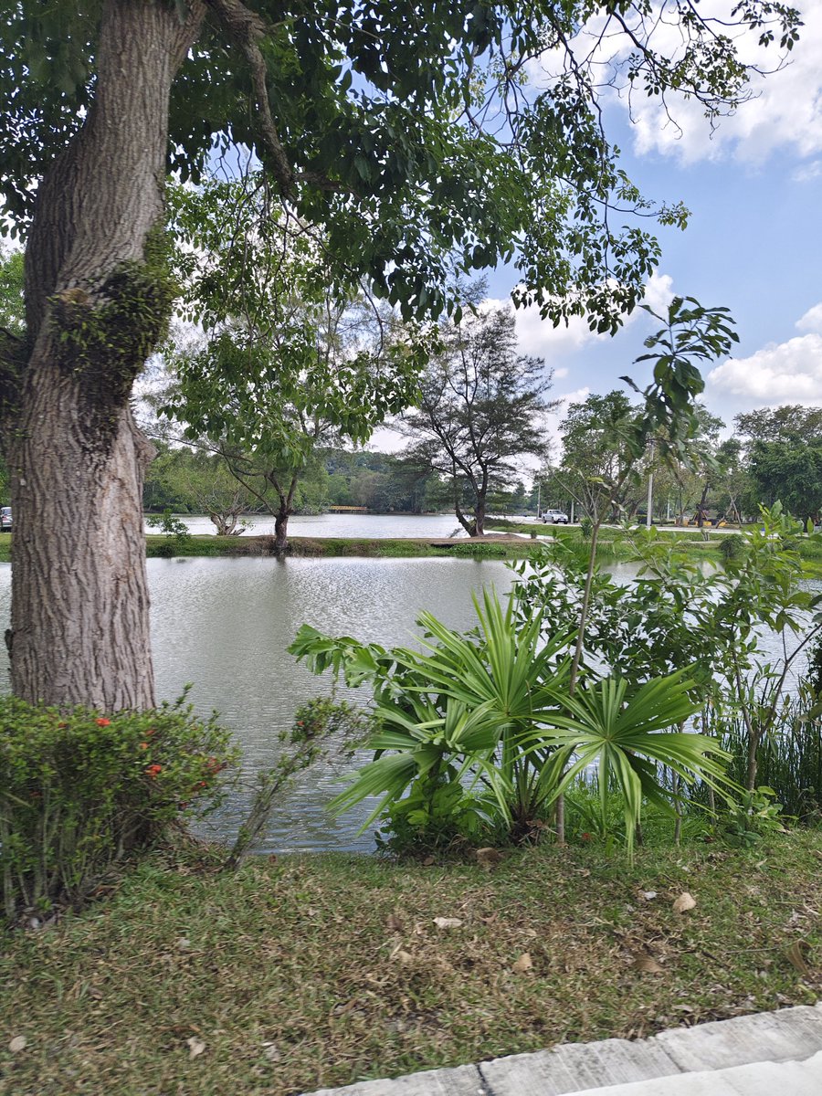 หญิงแท้ หาค่าขนม #นครศรีธรรมราช  #ทุ่งท่าลาด