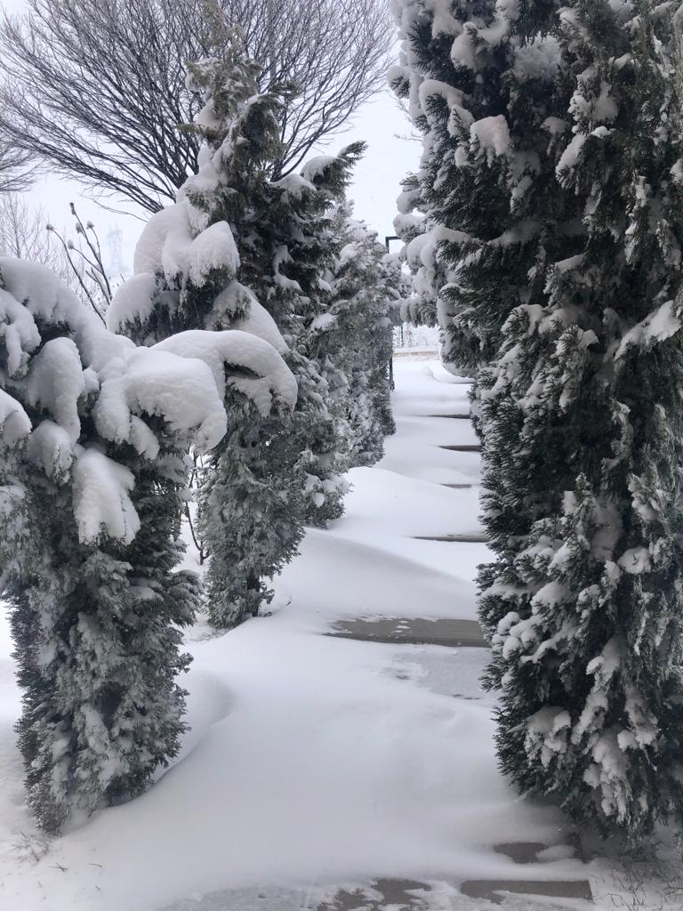 Ankara'da sütbeyaz sabaha uyanmak☃️