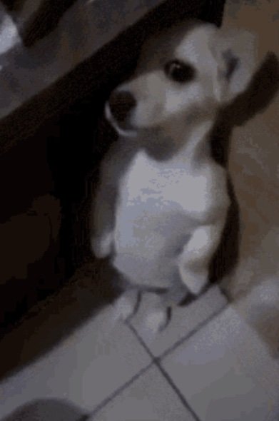 My affiliate anniversary is next week