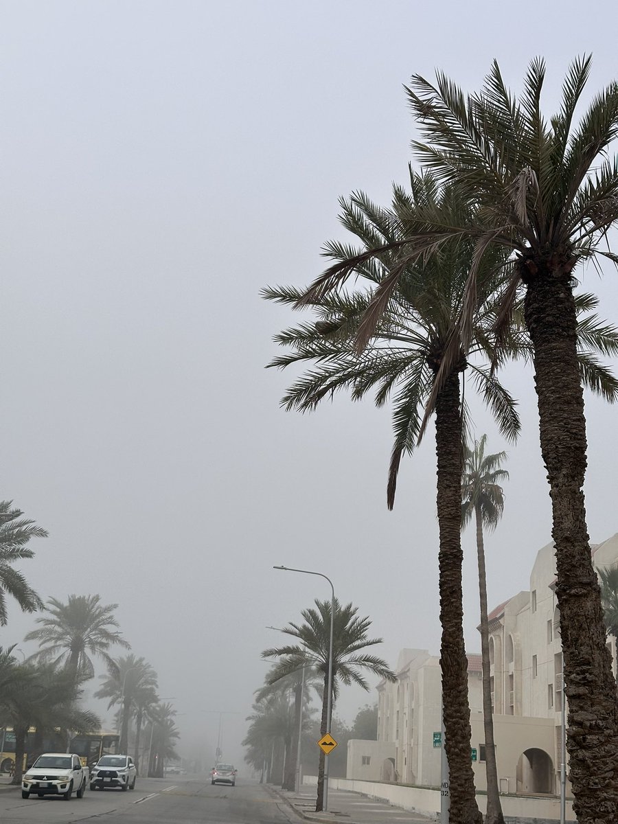 almrfoui's tweet photo. 02.02.2026 
Al’Jubail, the city of fog 🌁💙💙. https://t.co/sGGxBAfNDG