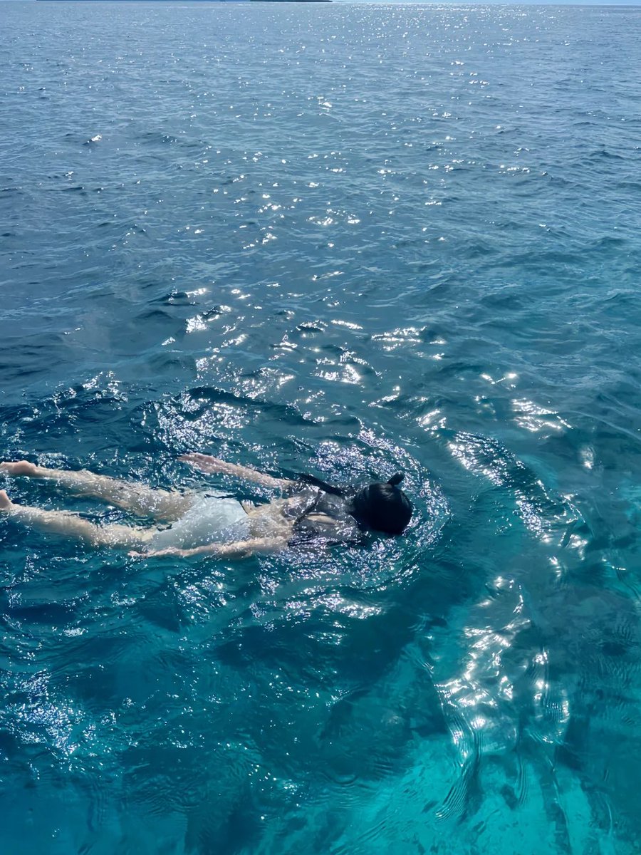 Time_catchX's tweet image. 久しぶりにダイビングに行っていない。
ウミガメが恋しいよ。