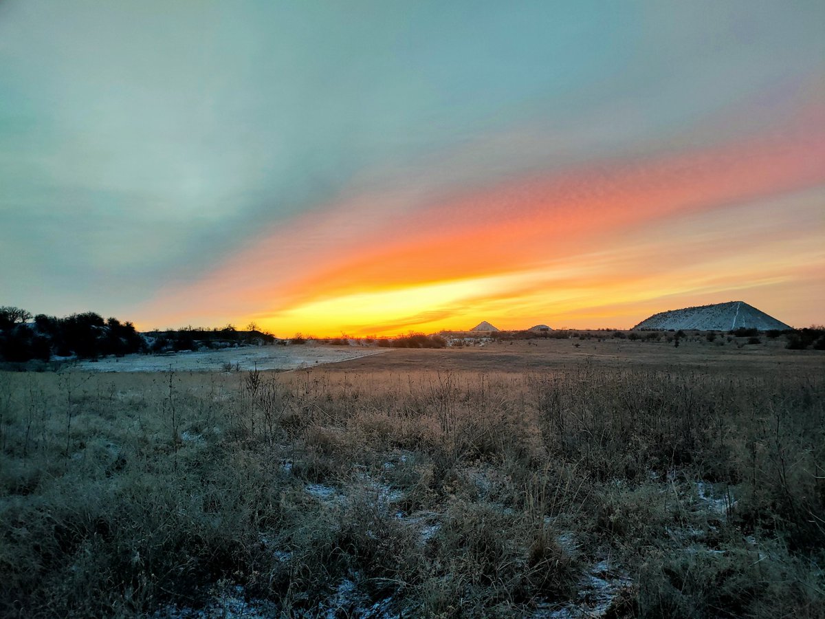 Альфа tweet media