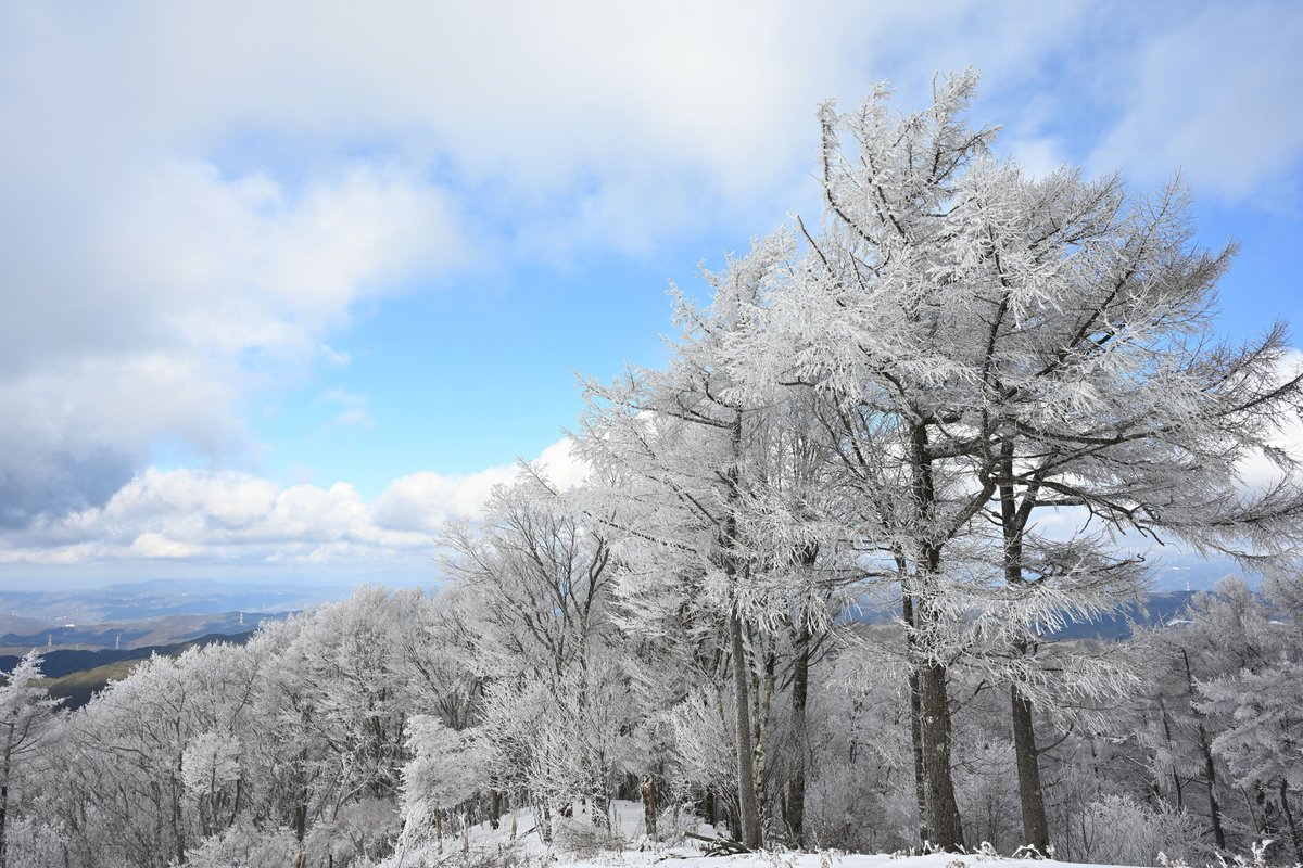 冬山初挑戦、ほんとに白銀だった❄️ 夏の姿とはまったく別物やね