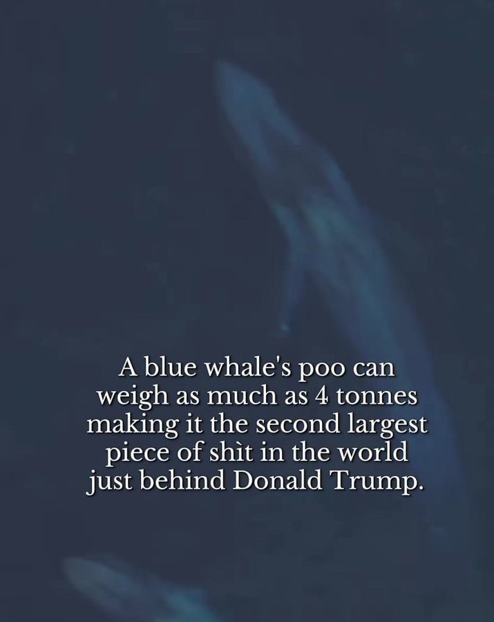 remta29's tweet photo. @WhiteHouse https://t.co/qtyLeZmoHJ