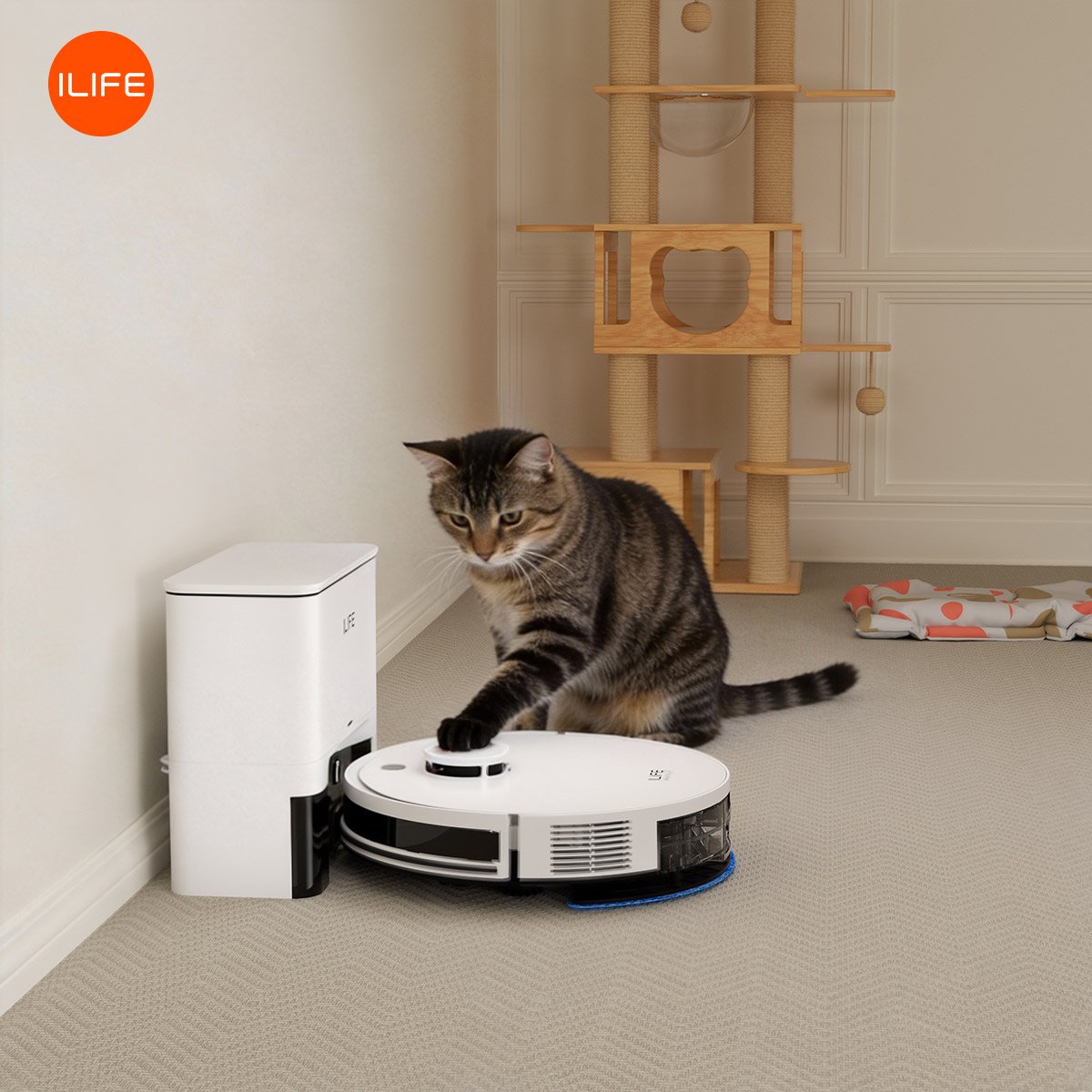 ilife_Global's tweet photo. 🐱“What’s this?”
🤖“Just passing by… don’t mind me.”
#CleanWithILIFE #ILIFErobotvacuum #CatLovers https://t.co/mcOD5olKE9