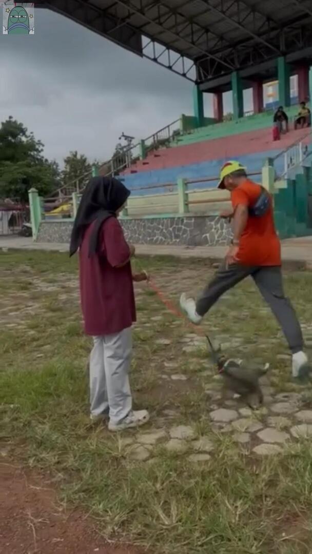 tanyarlfes's tweet image. 💚 CW // ANIMAL ABUSE
Minggu (25/1/26) di Kridosono Blora, kucingku Mintel ditendang orang tak dikenal hingga stres dan meninggal. Ditegur malah menantang lalu kabur. Katanya “orang penting”. Kami tunggu itikad baiknya.
Sumber: IG @/faridaarz