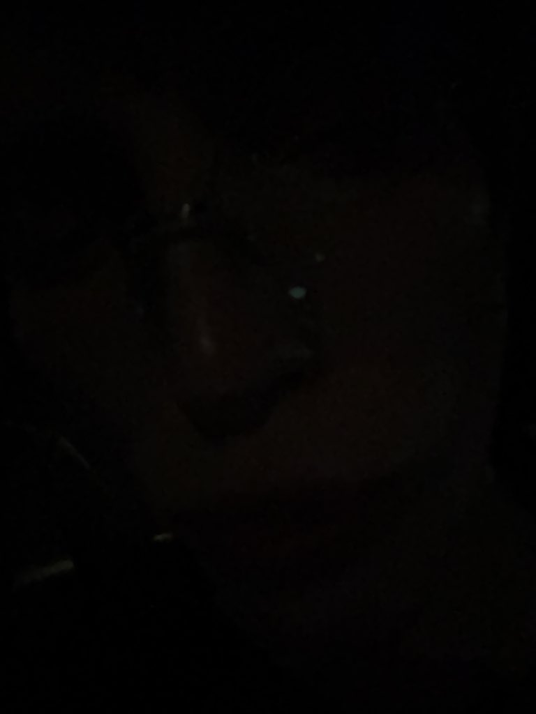 cindermage's tweet image. 