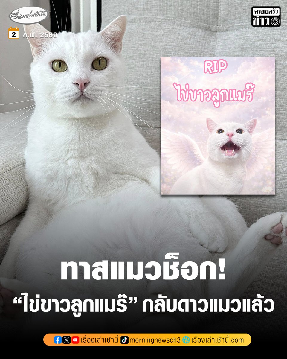 ทาสแมวช็อก! “น้องไข่ขาว” แมวเซเลปชื่อดัง กลับดาวแมวแล้ว
.
เฟซบุ๊ก ไข่ขาวลูกแมร๊ โพสต์แจ้งข่าวเศร้า “น้องไข่ขาว” อดีตแมวจรจัดใต้คอนโด ได้รับการชุบชีวิตกลายเป็นแมวเซเลปชื่อดังในโลกโซเชียล จากไปอย่างสงบแล้ว
.
โดยได้โพสต์ข้อความระบุว่า “ไข่ขาวจากเราไปอย่างสงบแล้วนะคะ 02/02/69