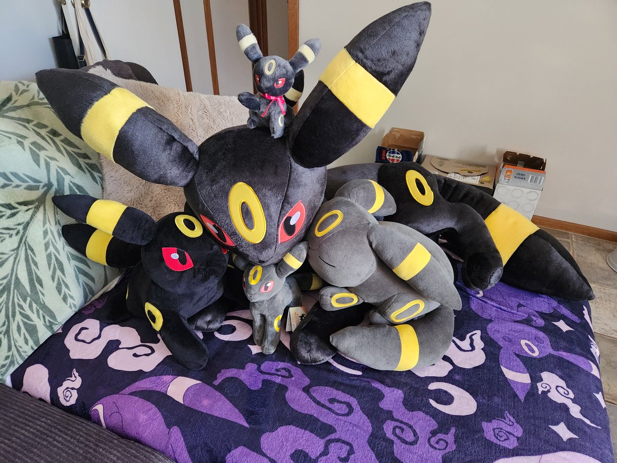 ✨ Silvixen ✨ tweet media