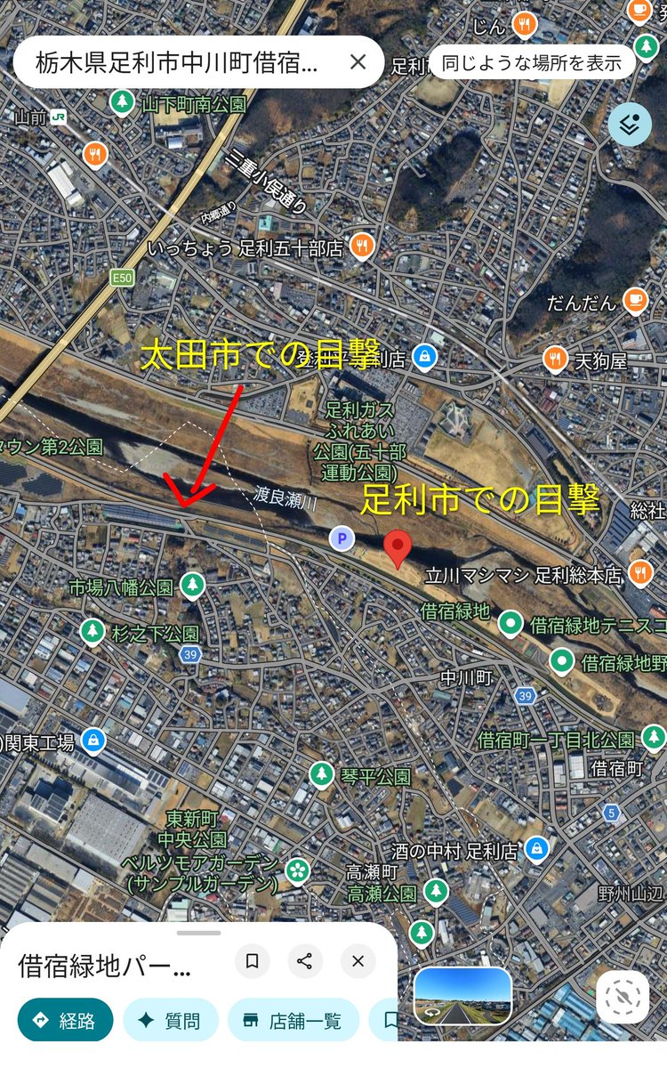 tatebayashi's tweet photo. 足利市クマ目撃情報
2/1(日)16:30頃 足利市中川町借宿緑地パークゴルフ場から100m上流の河川敷
渡良瀬川右岸です。同日同時間帯に太田市でも目撃されており(さらに500mほど上流)、同じ個体の可能性があります。 https://t.co/UmdHwRxtIO