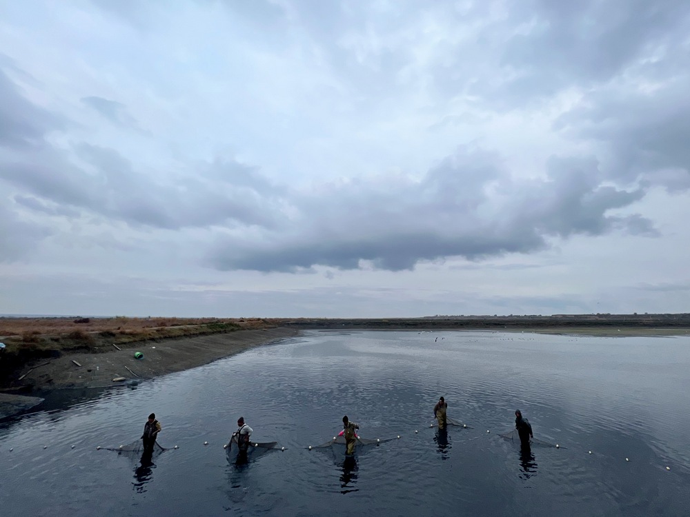 Water Alternatives tweet media