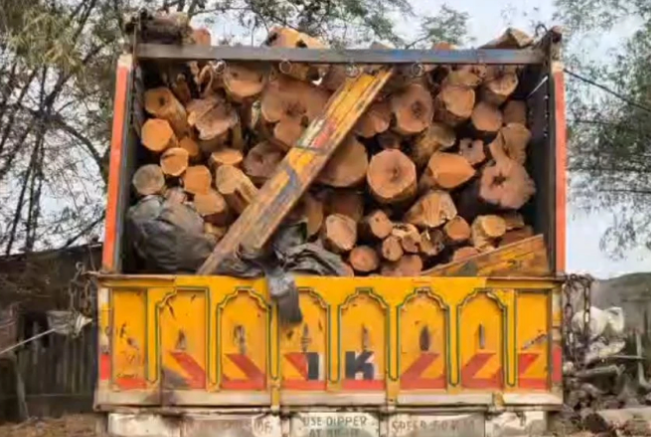Gujarat Forest Dept busts kher wood smuggling racket, 16 tonnes seized