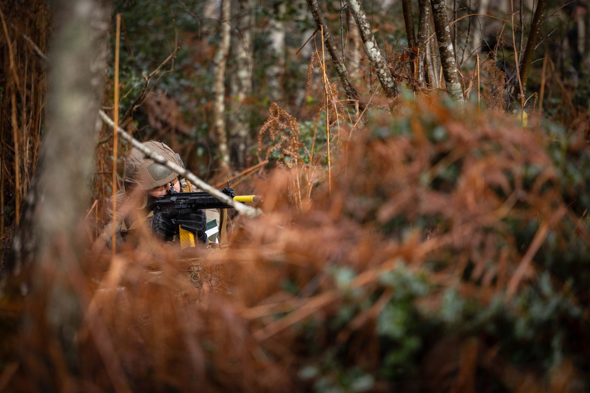 121e régiment du Train tweet media
