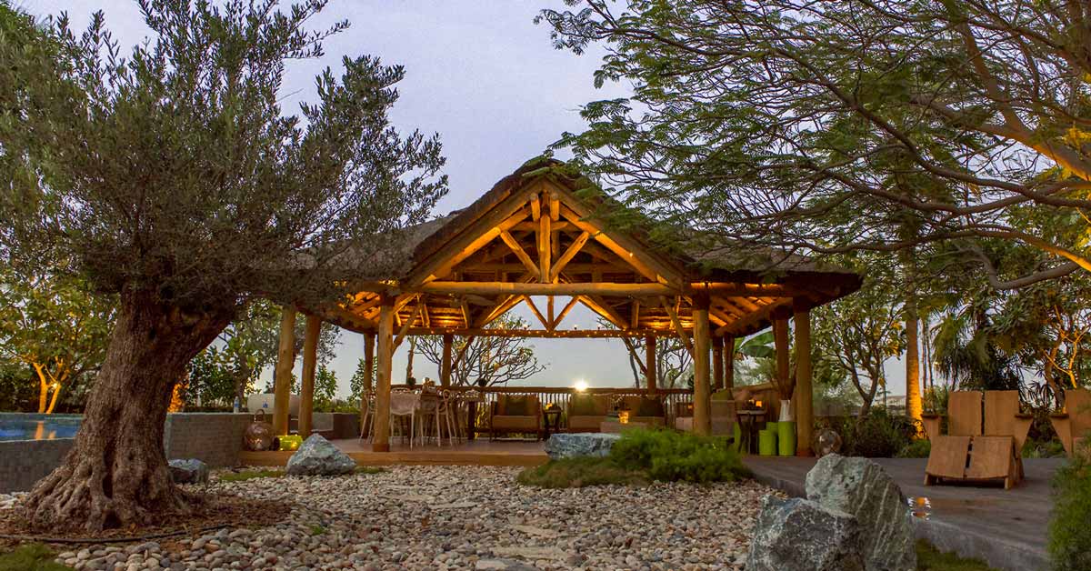 Sustainable building starts with materials.

We use responsibly sourced timber and natural thatching reeds.

👉 Learn our approach: capereed.com

#EcoBuilding #SustainableLiving #Renewable