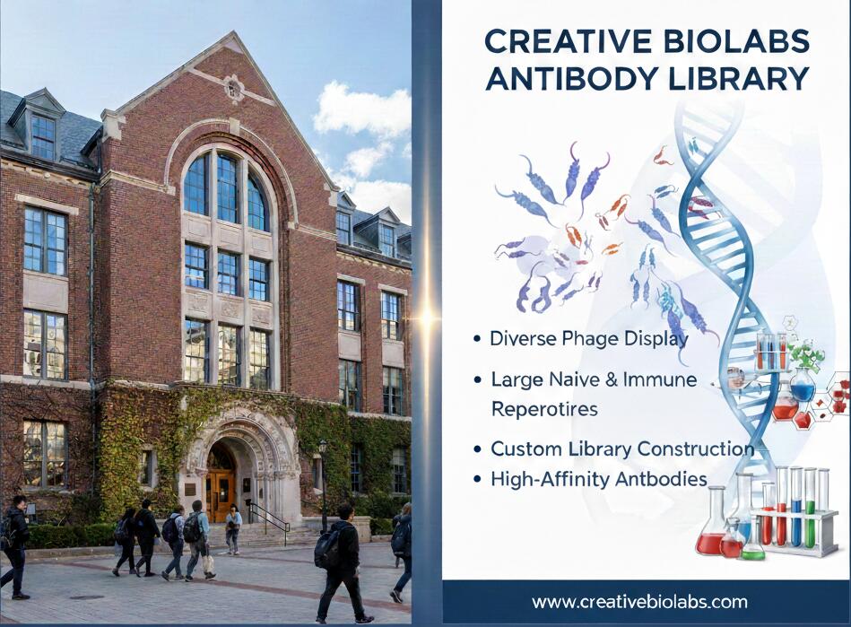 Creative Biolabs tweet media