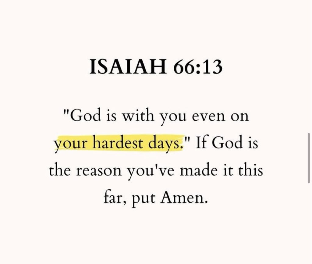 Holy Bible tweet media