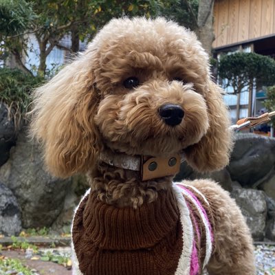SHITATSU41's tweet photo. #新しいプロフィール画像 https://t.co/YJm8BTluzO