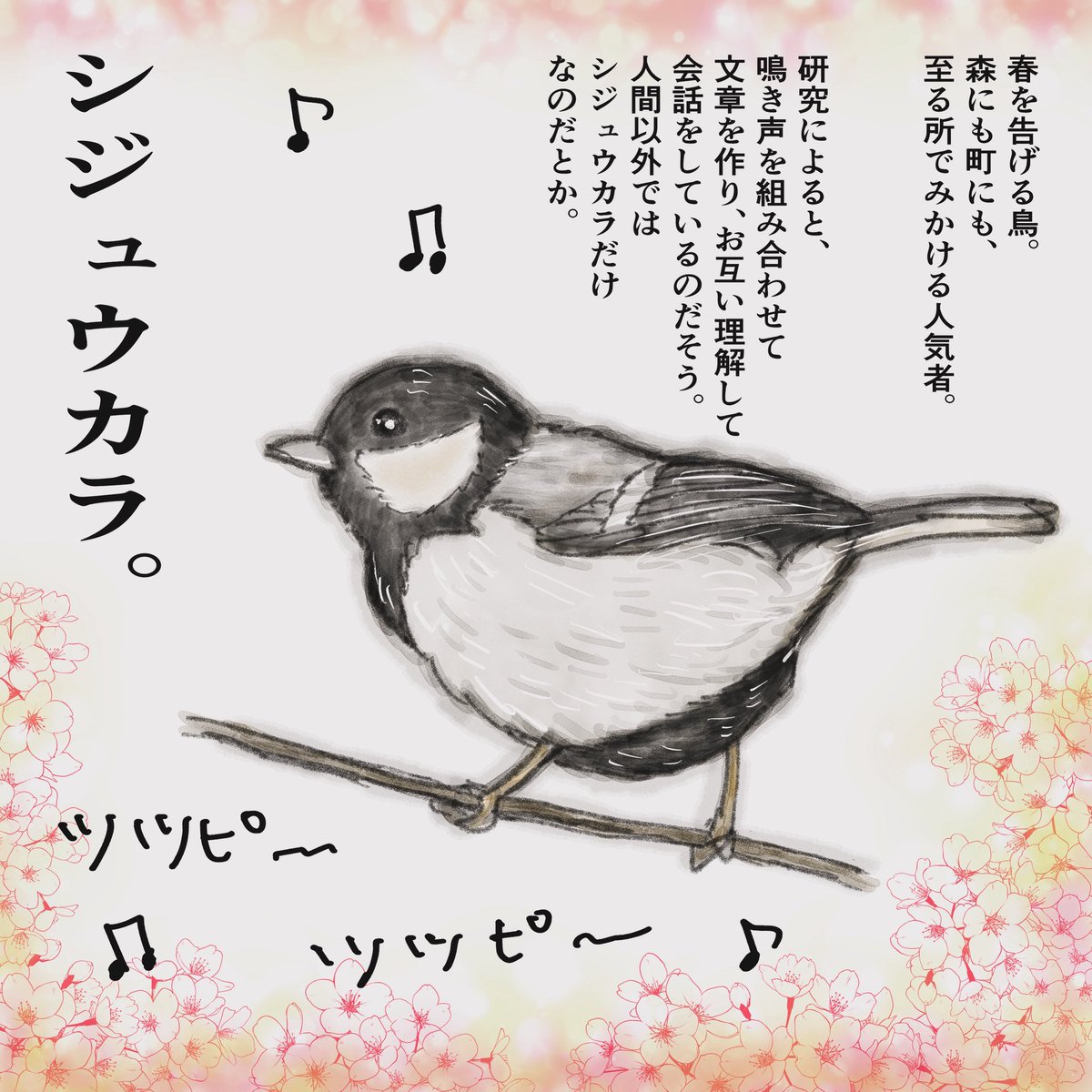 ハードワークが続いて疲労中。かわいいシジュウカラさんたちの啼き声に癒される。