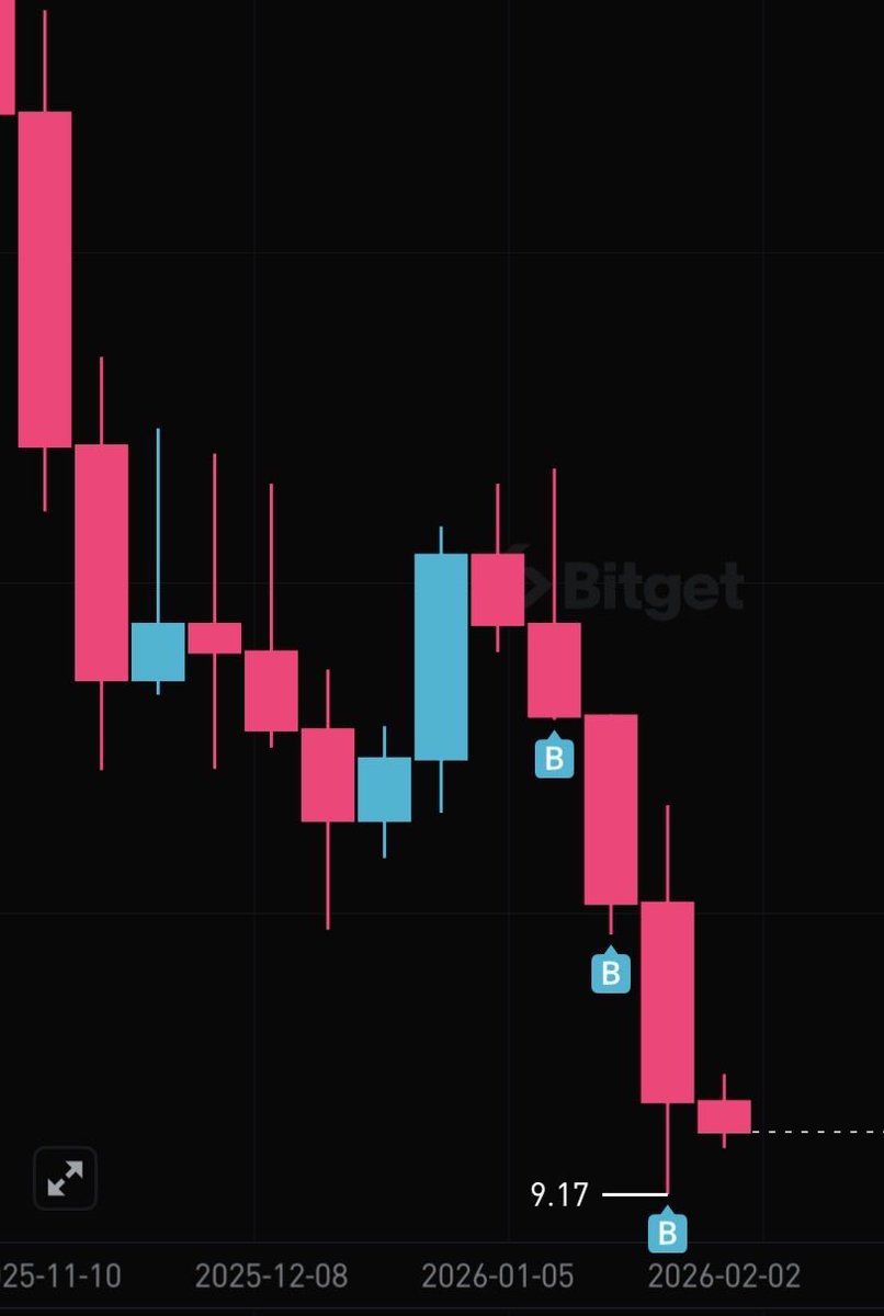 B. Alejandro tweet media