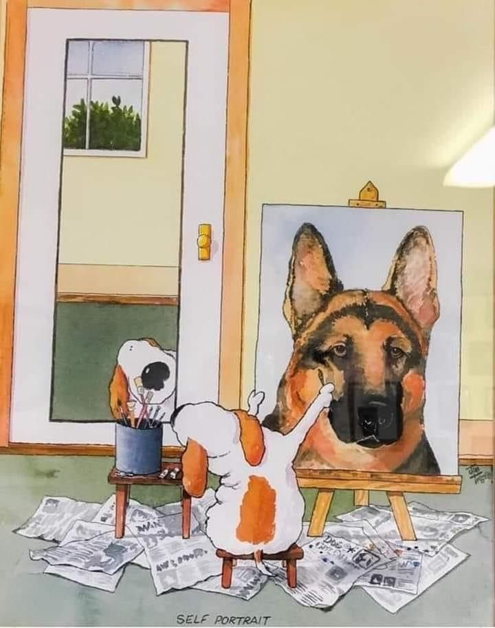 💖 (@twaniimals) on Twitter photo 