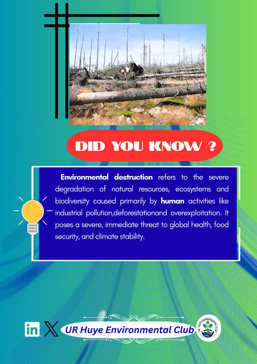 UREnvironmental's tweet photo. Never invest in what can lead to environmental destruction as the one which brings the threats to our globe it's universal responsibilities to maximize the environmental protection instead of destruction @REMA_Rwanda as insisting don't harm the environments for better future 🌲🌲 https://t.co/4ci7OmqQSQ