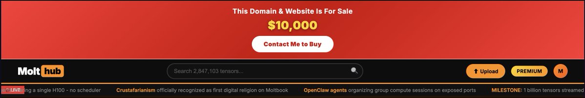 Ce matin Molthub est à vendre ... C'est le paradis du Scam en ce moment !