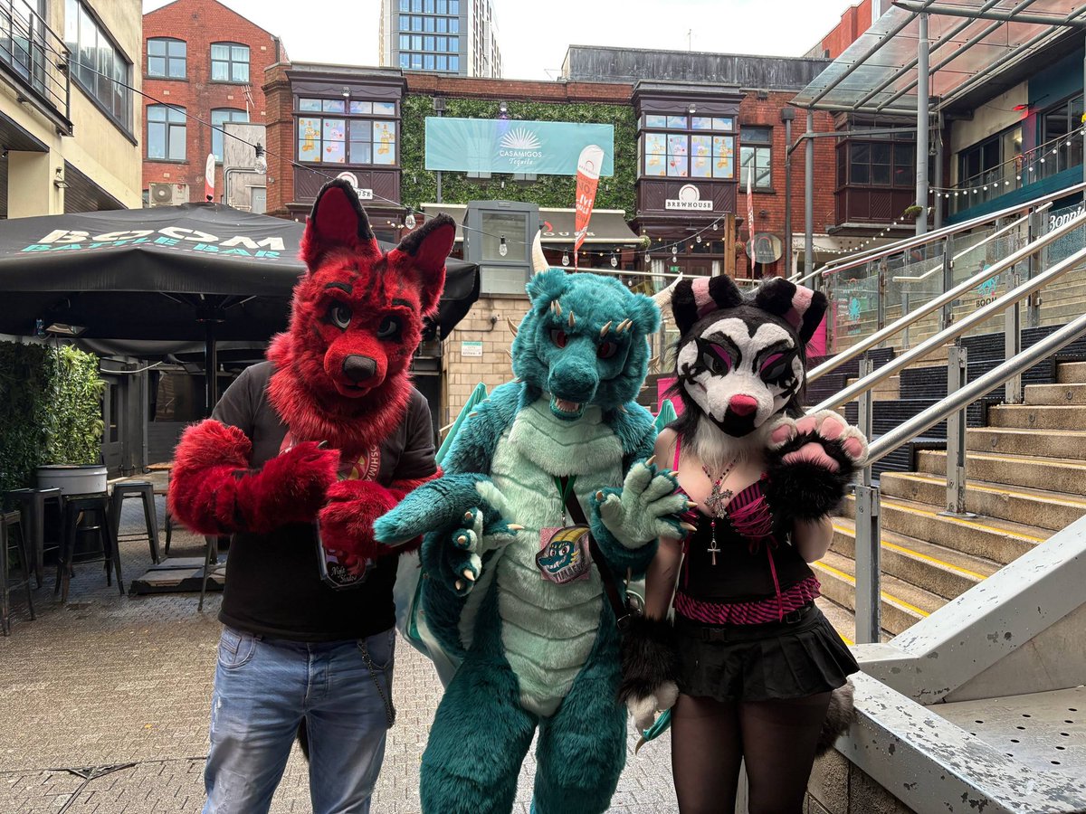 Timaeus Dragon tweet media