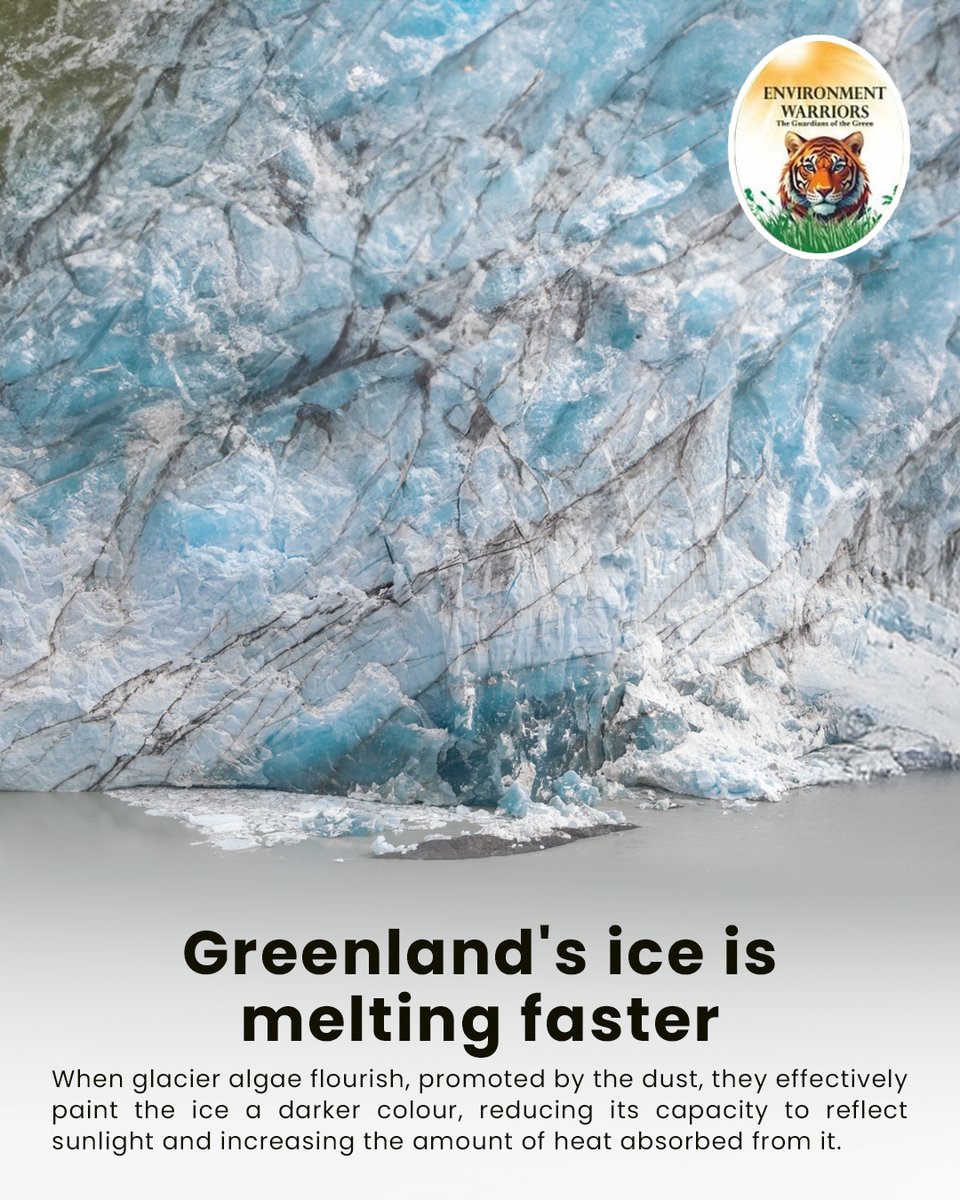 EnvironmentNet0's tweet photo. Greenland’s melting ice is a warning we must not ignore.

#drrajeshwarsingh #environmentwarriors #saveourplanet #climateawareness #protectnature https://t.co/bK5PVGIIDP