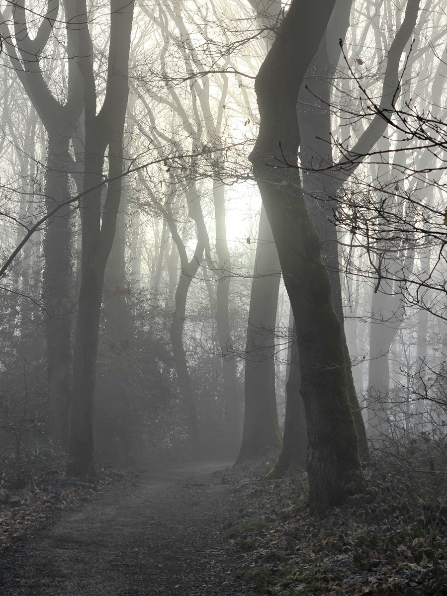 Bonjour, très belle semaine