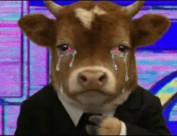 LAMARIGGA's tweet photo. the bulls are crying, everyone is down a house.

We all say it every f*cking day. We have been seeing the price plummet for months and regret not stabling.

Every day we lose our port and thinking

"wish i stabled earlier"

https://t.co/bSEsrVIaDu https://t.co/MgHrfYOzaN