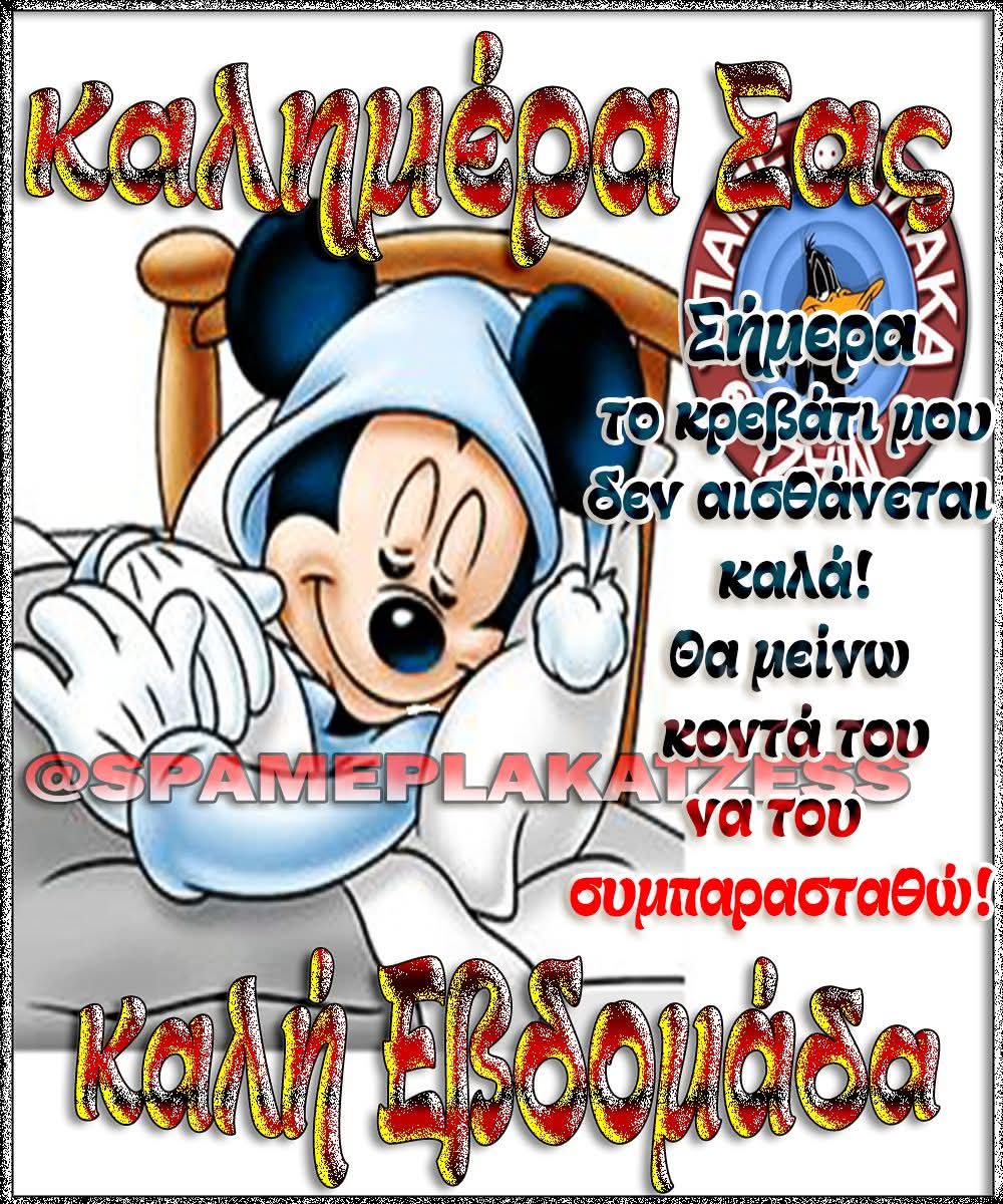 THOMAS TASOULAS (@tasoulasthomas) on Twitter photo 