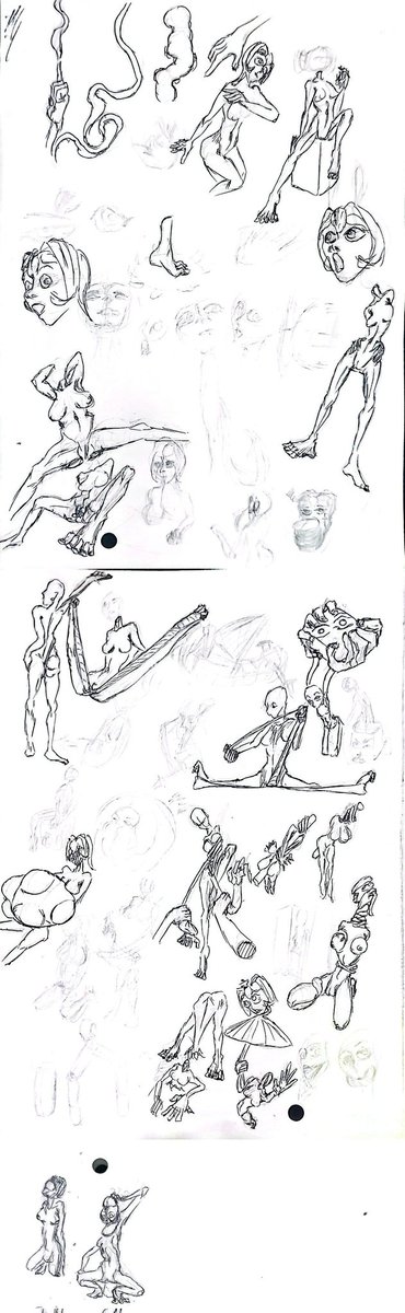 MorphFlex99🇵🇪 tweet media