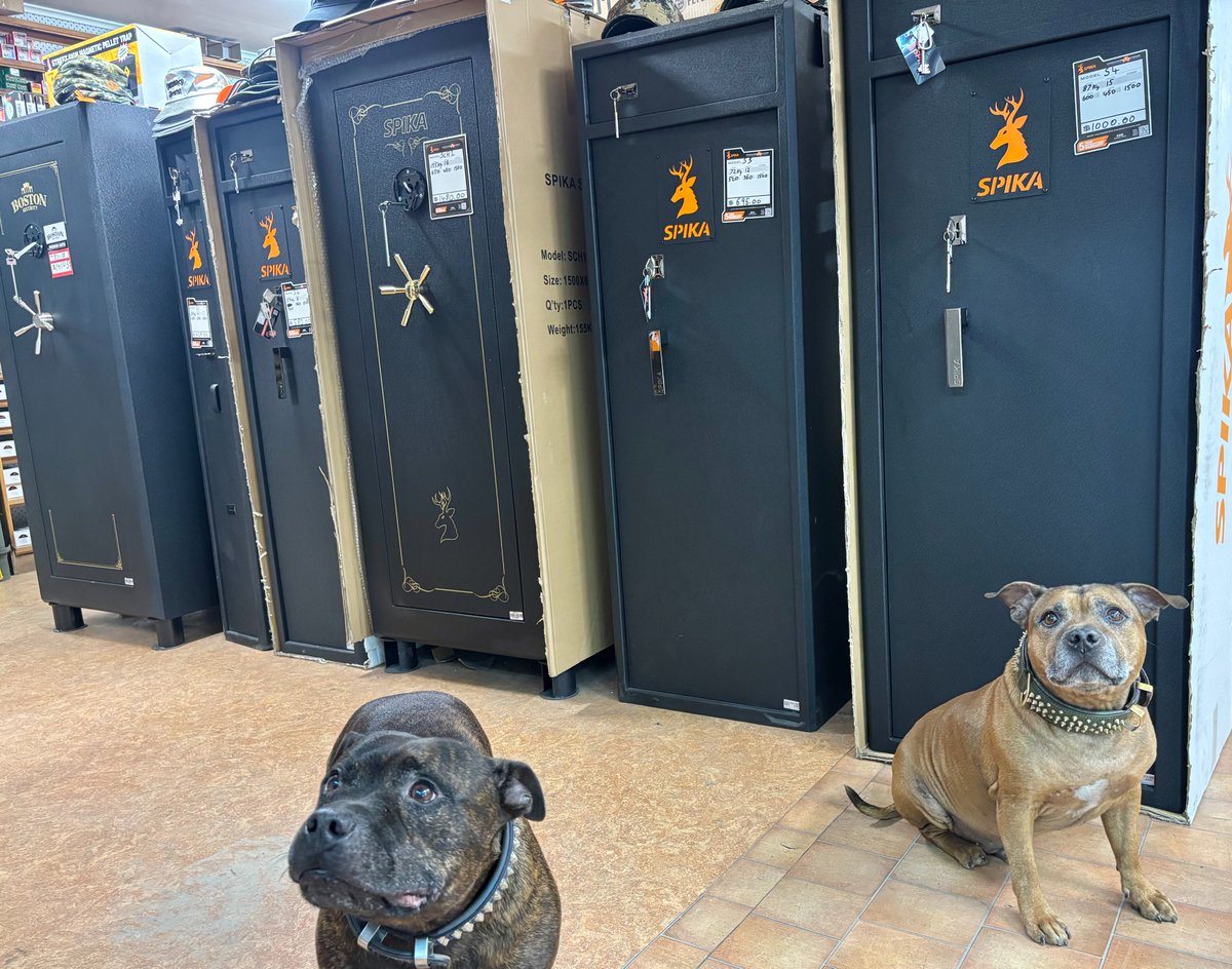 Owen_Guns's tweet photo. For Merchandise Monday, Chester wanted you to know we are stocked up on safes!
We have Spika, Protactical, Boston, Ridgeline and there is a size and shape for everyone.
Awesome dogs not included.
#safes #gunstorage #spikasafes #protacticalsafes #ridgelinesafe #bostonsafe #workingdogsofinstagram #workingdogs #staffylife #gympie #gympieregion