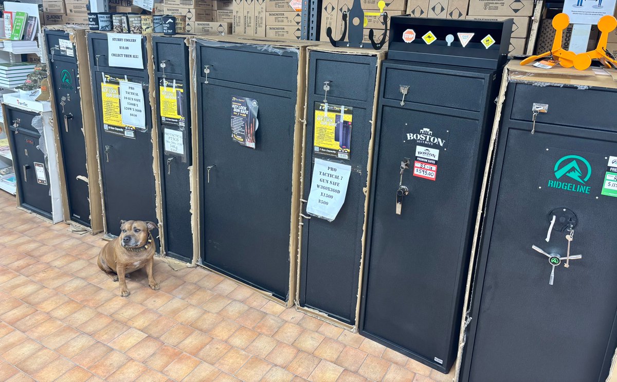 Owen_Guns's tweet photo. For Merchandise Monday, Chester wanted you to know we are stocked up on safes!
We have Spika, Protactical, Boston, Ridgeline and there is a size and shape for everyone.
Awesome dogs not included.
#safes #gunstorage #spikasafes #protacticalsafes #ridgelinesafe #bostonsafe #workingdogsofinstagram #workingdogs #staffylife #gympie #gympieregion