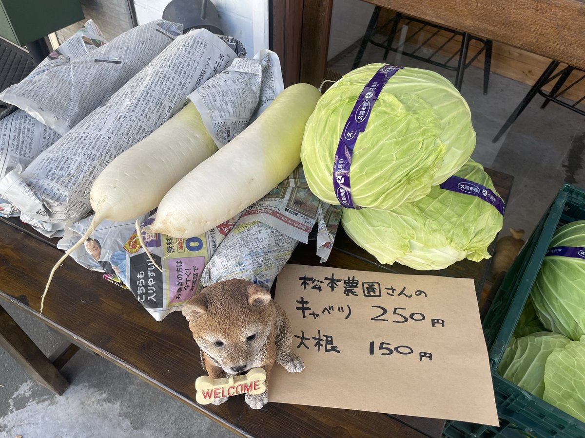 キャベツは芯が甘くて美味しいです！今が1番美味しいそうなのでぜひどうぞ〜！
