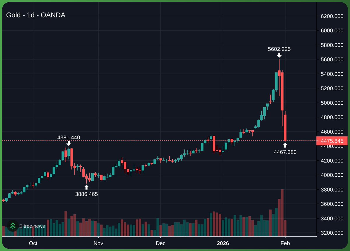람쥐썬더 Ramz tweet media
