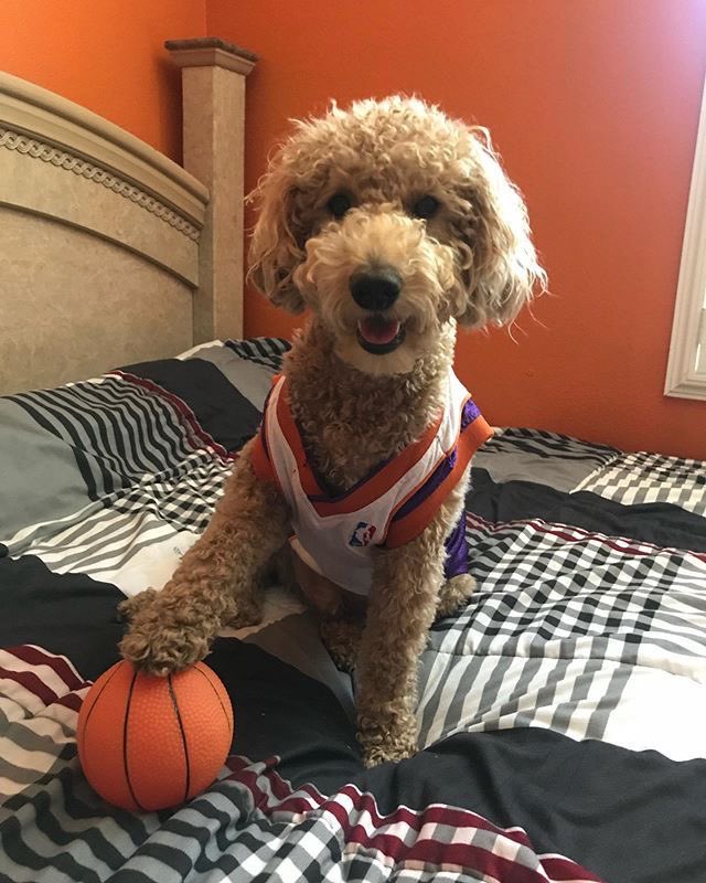 𝒞𝒶𝓂𝓎ⱽᵀ tweet media