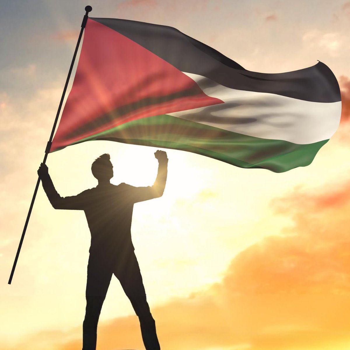 WhaleInsider's tweet image. JUST IN: 🇮🇳🇵🇸 India calls for sovereign, independent and viable state of Palestine.