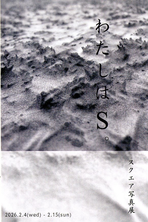 【写真展情報】　「わたしはＳ。」スクエア写真展　2026.2.4～2.15　BE=Lab &amp; Gallery　📷be-lab-gallery.com